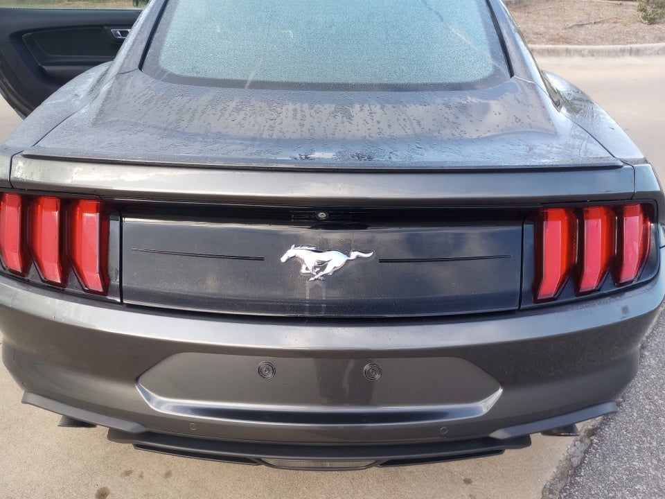 2019 Ford Mustang EcoBoost