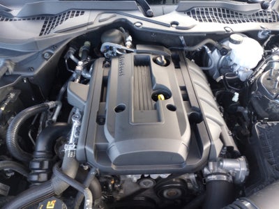 2019 Ford Mustang EcoBoost