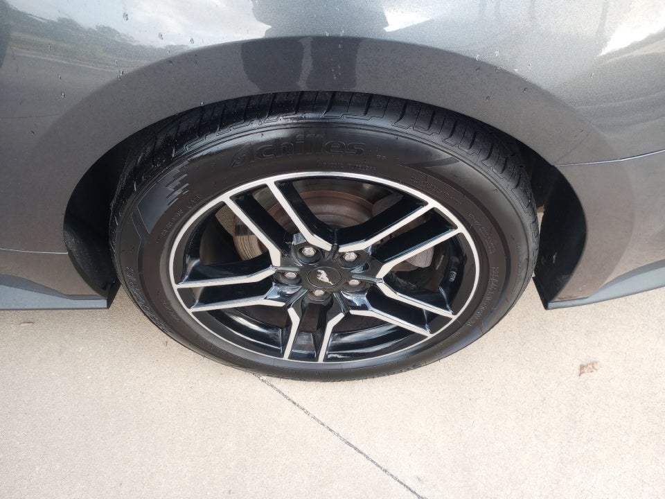 2019 Ford Mustang EcoBoost