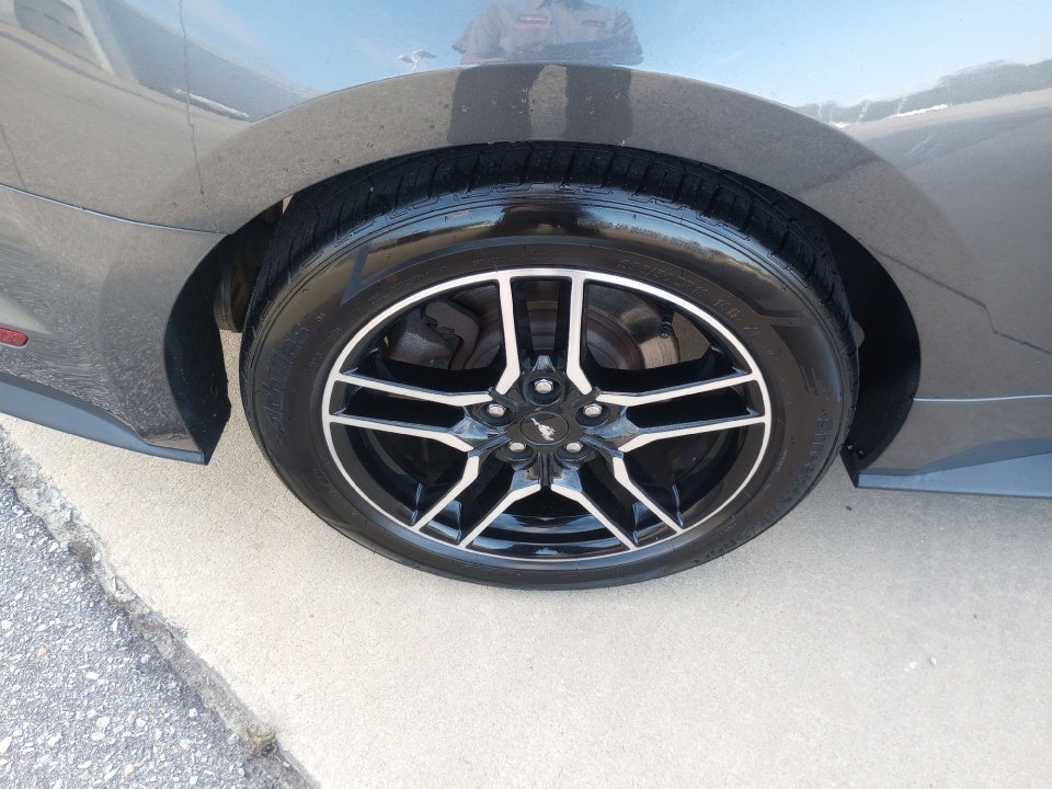 2019 Ford Mustang EcoBoost