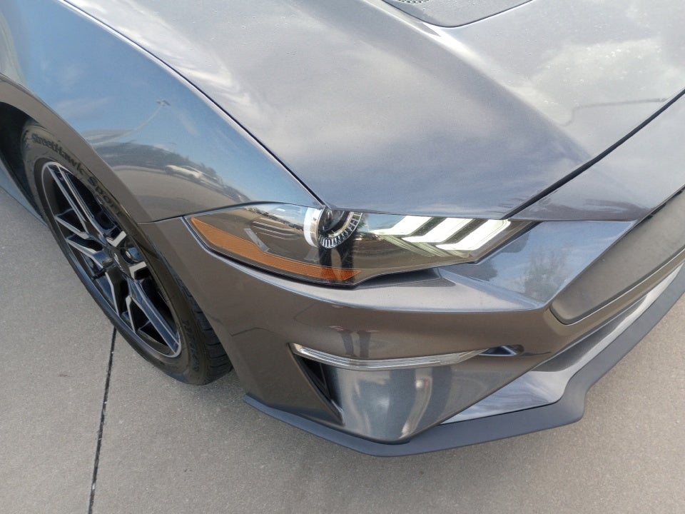 2019 Ford Mustang EcoBoost