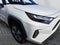 2024 Toyota RAV4 Hybrid Hybrid LE
