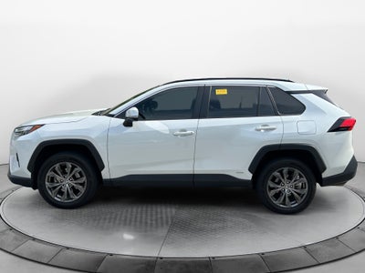 2023 Toyota RAV4 Hybrid XLE Premium