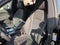 2026 Audi Q8 Premium Plus 55 TFSI quattro Tiptronic